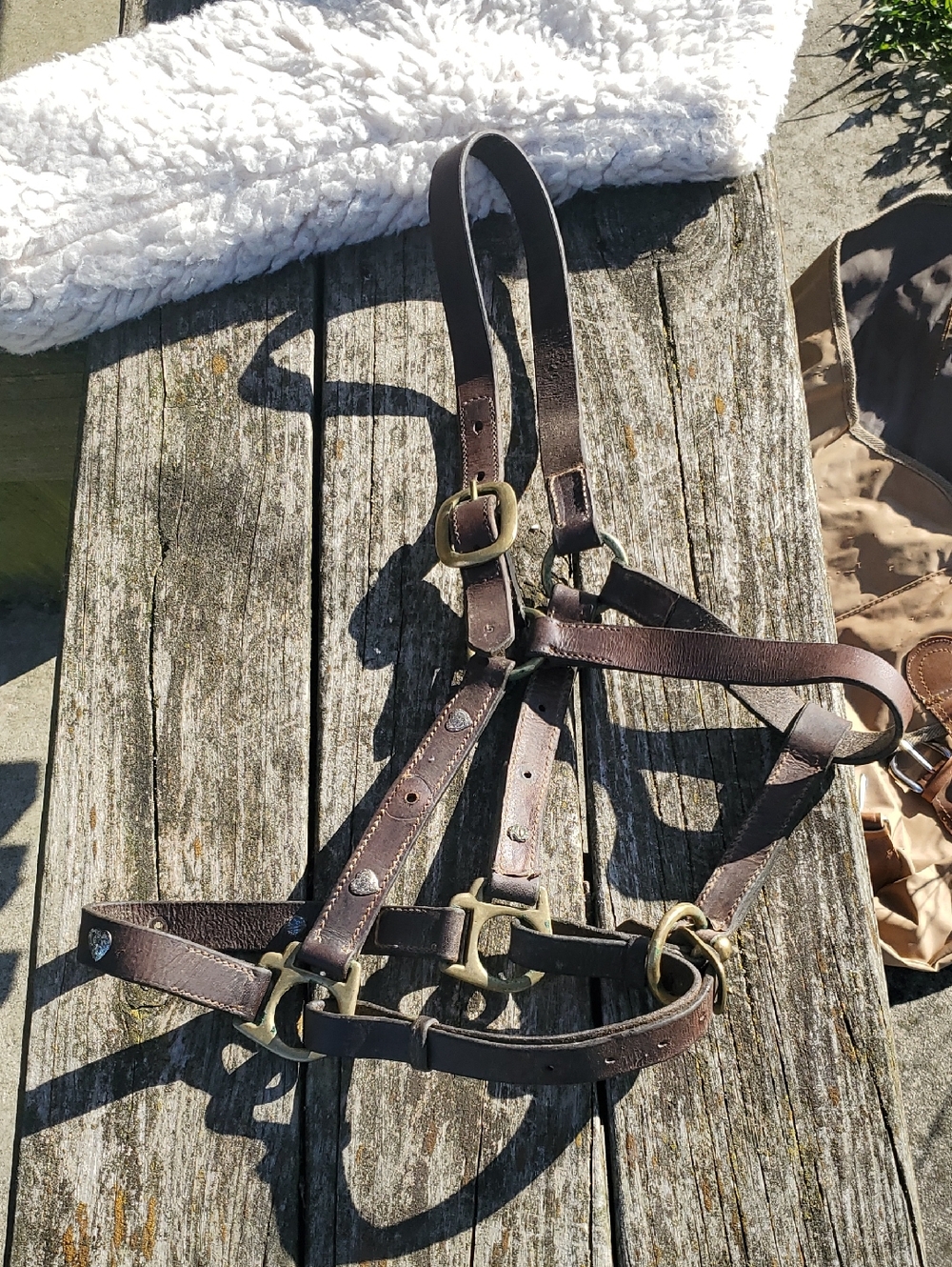 Leather Horse Halter